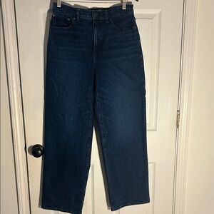 Madewell The Perfect Vintage Wide-Leg Jean Size 28 Excellent condition!